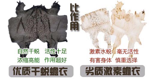 如何選擇好蟾衣？您踩坑了嗎？