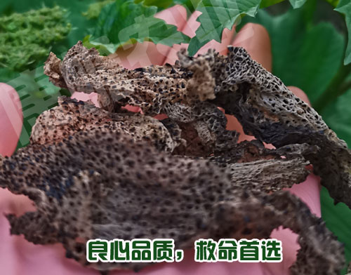 用不用蟾衣，你聽(tīng)誰(shuí)的？